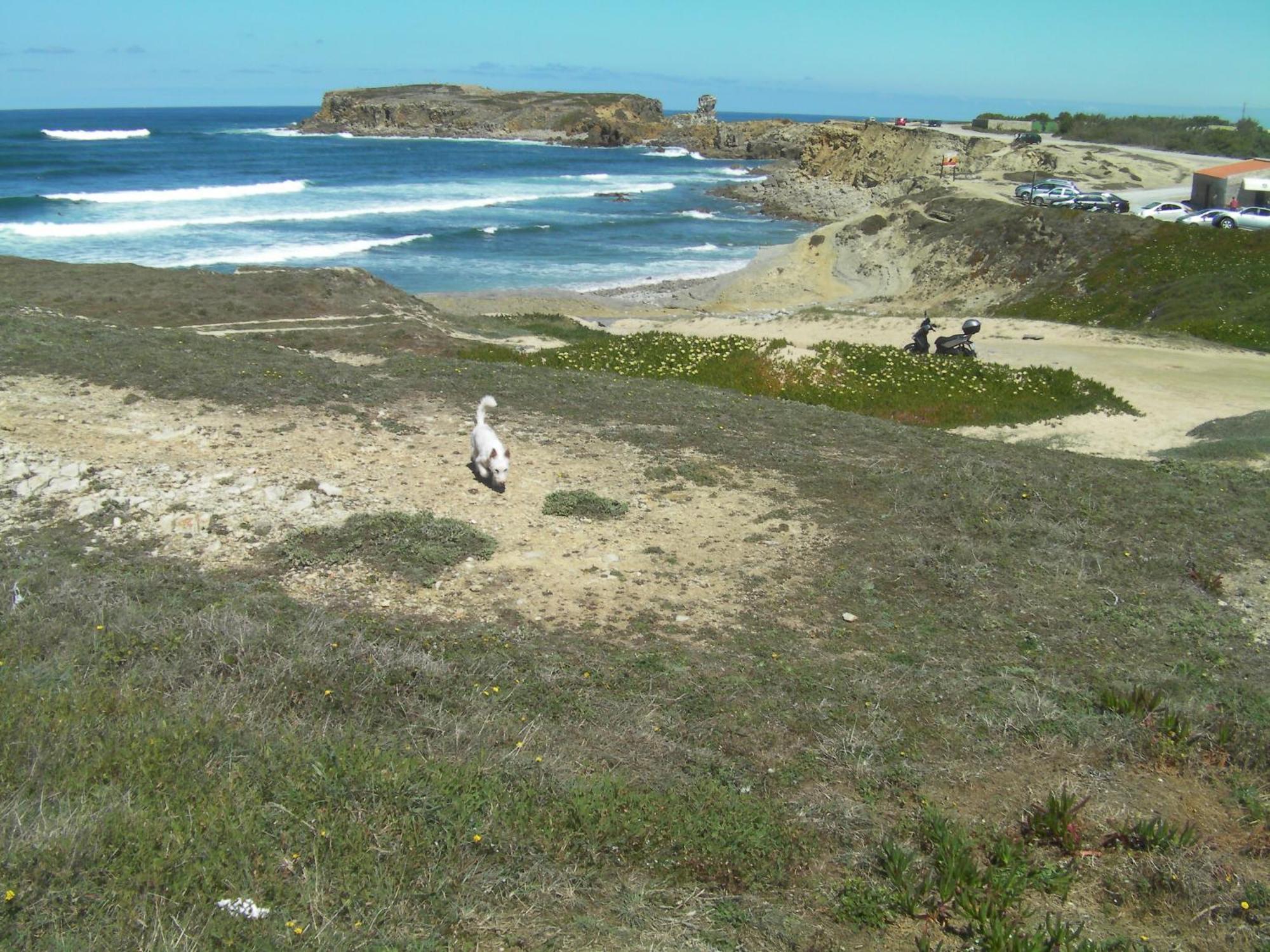 Peniche Surf Lodge 1 Zewnętrze zdjęcie